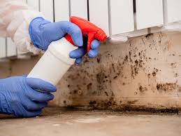 Mold Remediation for Rental Properties in Bastrop, LA